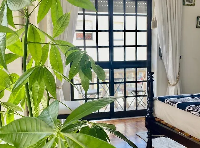 Spray Sitio In Nazare, European Style Nazaré